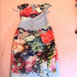 Summer TED BAKER Dress New w Tags